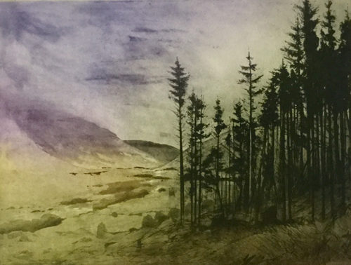 Greogry Moore - Edge of the Glen (etching)