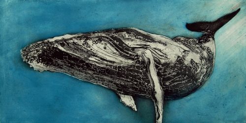 Marion MacPhee - Humpback Whale III