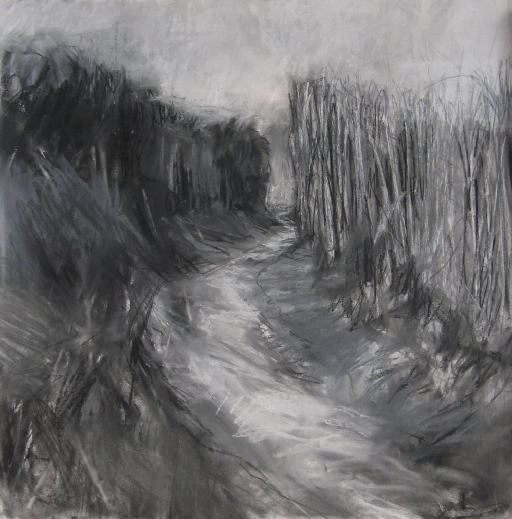 Meander-Janine-Baldwin-pastel-charcoal-and-graphite-52-x-52cm