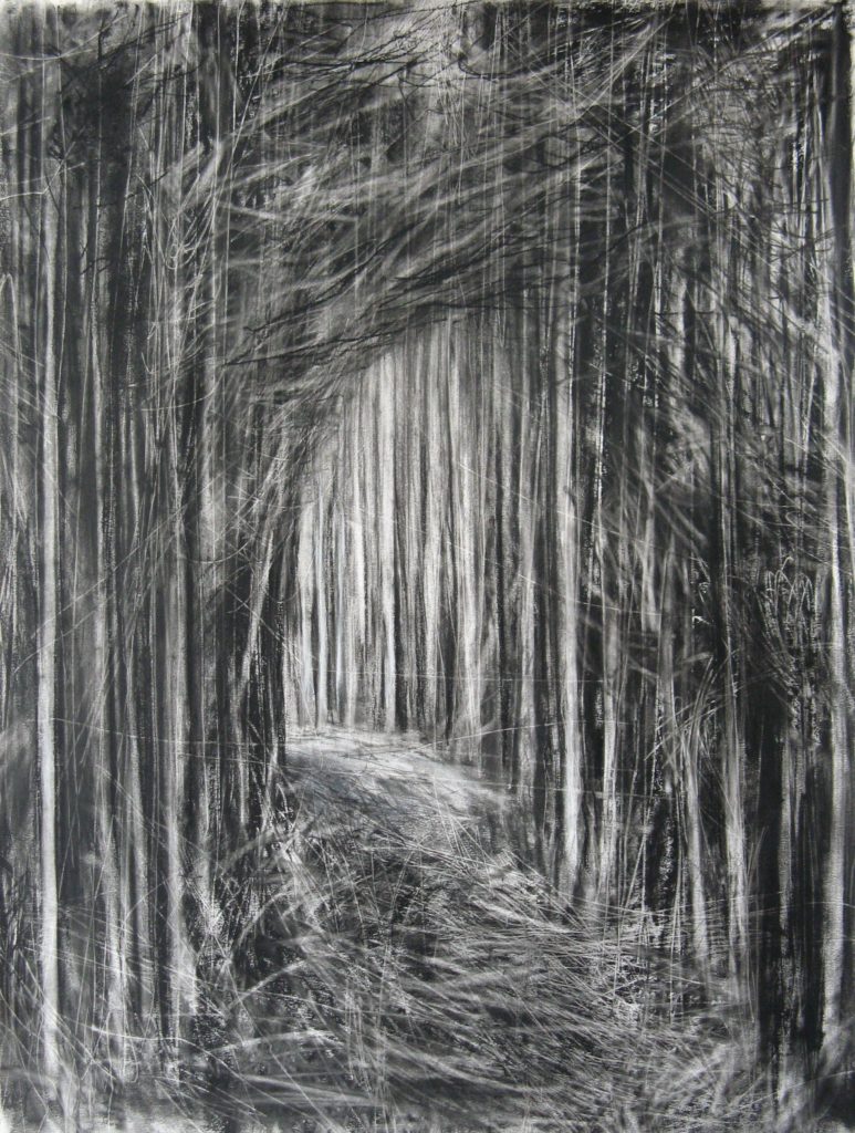 'Path Through the Forest II', Janine Baldwin, charcoal, graphite and pastel on paper, 70 x 53cm