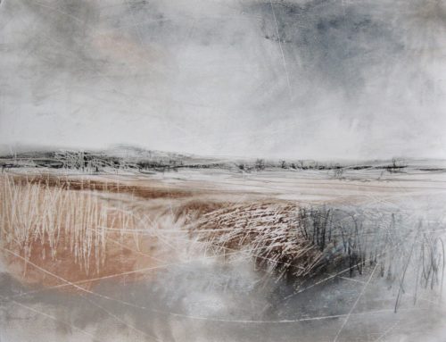 Wild-Lands-Janine-Baldwin-pastel-charcoal-and-graphite-on-paper-28-x-36cm
