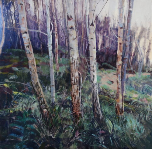 Kevin Heffernan. 'Birches in Pressmennan Wood'