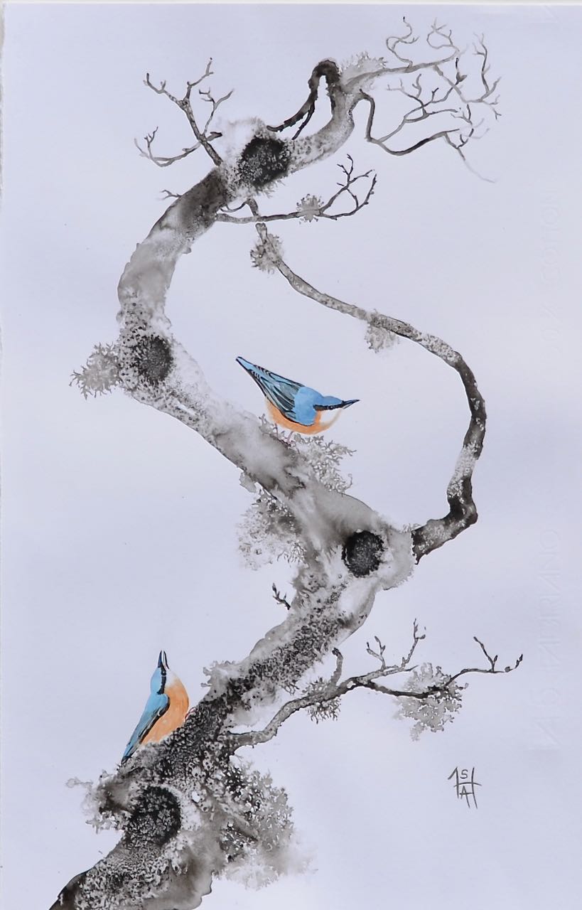 Nuthatch Duet- Sheila Anderson-Hardy Sumi-e ink and watercolour on paper flush mounted framed H69xW50cm