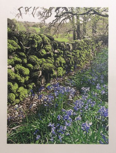 Reduction linocut print of Moss on stone wall in Scotland and bluebells