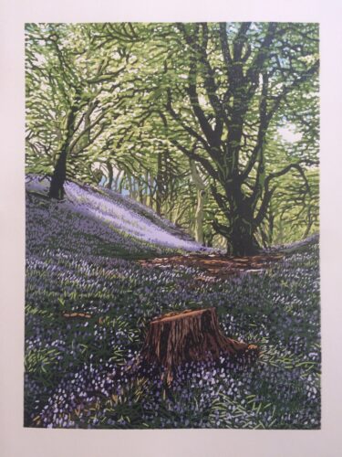 Reduction linocut print of bluebells in the forest in Scotland.