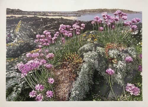 Joshua Miles reduciton linocut of coastal landscape with pink thrift flowers