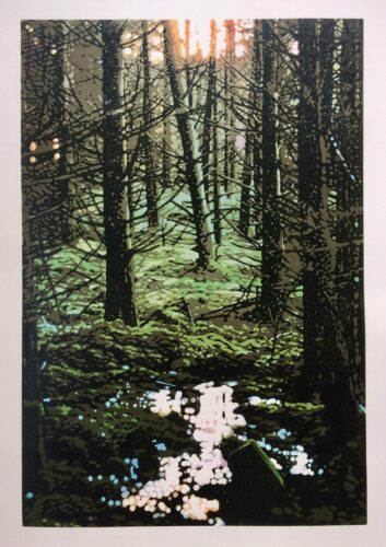 JOshua Miles Reduction linocut print of the evergreen forest in Scotland in a low light