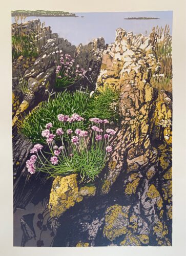 Joshua Miles reduciton linocut print of thrift flowers and rocks on Scotland shore