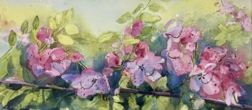 Katherine Sutherland. 'Blossom Study,watercolour_mix, 46 x 76cm