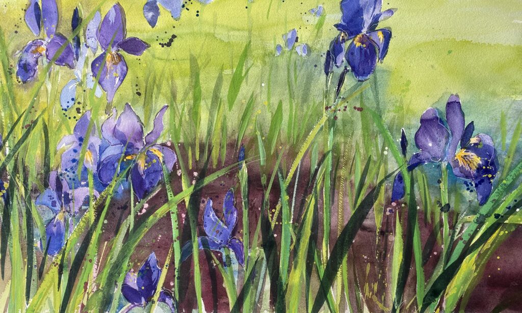 Katherine Sutherland. 'Purple Irises' 87cm x 63cm watercolour