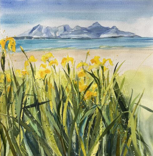 Katherine Sutherland. Wild Iris (watercolour)