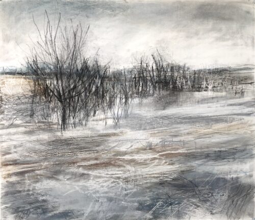 Janine Baldwin. ‘Ephemeral II’, pastel, charcoal and graphite on paper, 35 x 41cm