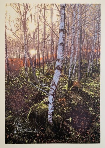 Joshua Miles. Birchtree forest (reduction linocut)