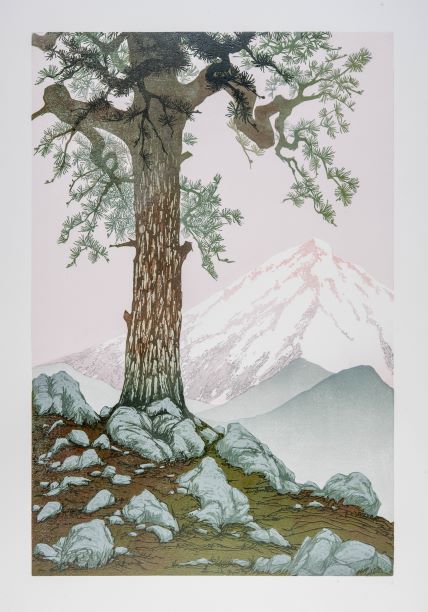 Laura Boswell. Winter Pines (Linocut - 340 x 515 mm)