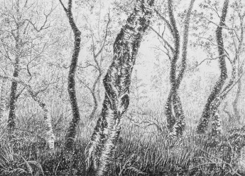 Blake Milteer. Badachro River 2 (graphite on panel) 22 x 26.5 cm