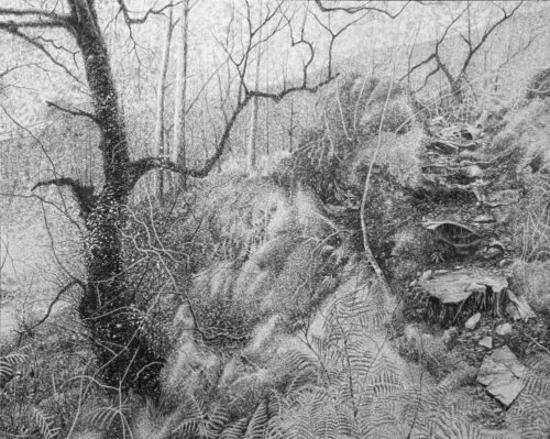 Blake Milteer. Beinn Eighe (graphite on panel) 50 x 61 cm