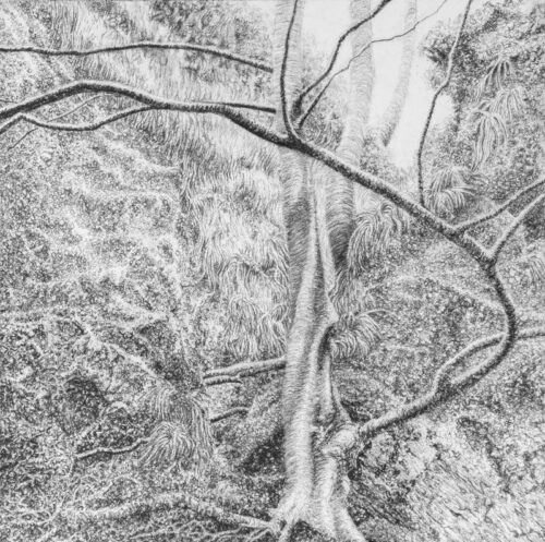 Blake Milteer. Finnich Glen (graphite on panel) 30.5 x 30.5 cm