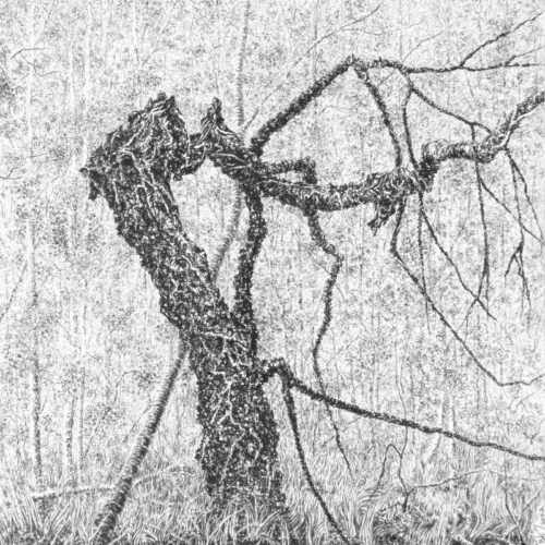 Blake Milteer. Glen Affric (graphite on panel) 30.5 x 30.5 cm